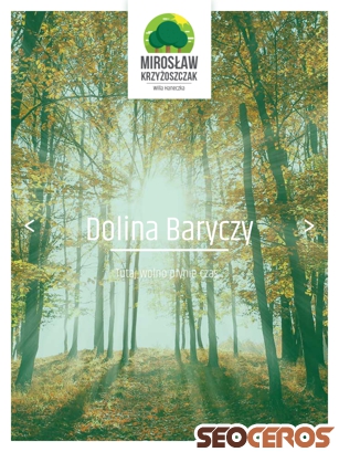 turystykabarycz.pl tablet előnézeti kép