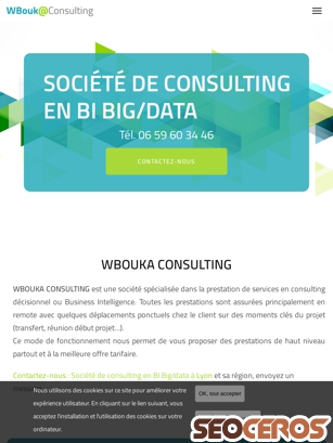 wbouka-consulting.com tablet náhled obrázku