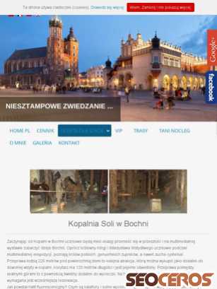 wwww.szalonyprzewodnik.pl/oferta-dla-szkol/kopalnia-bochnia tablet förhandsvisning